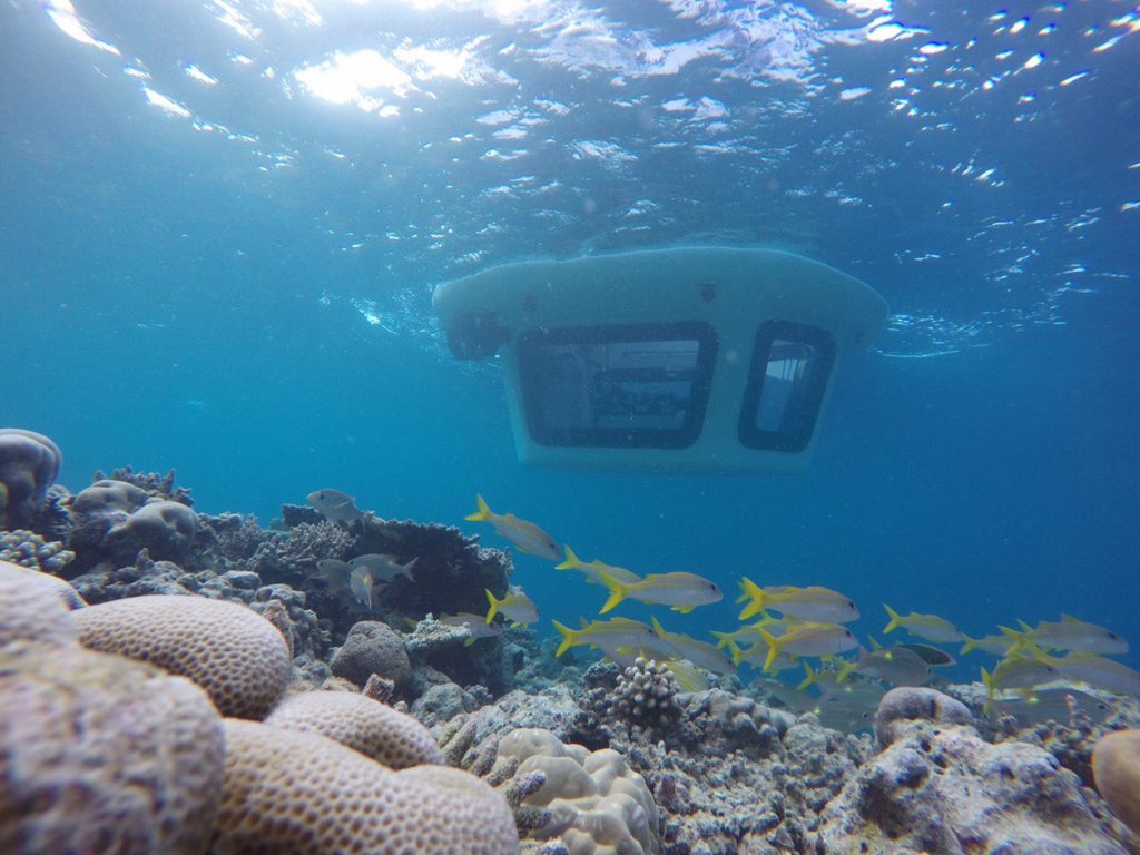 Penguin 2.0 - under water